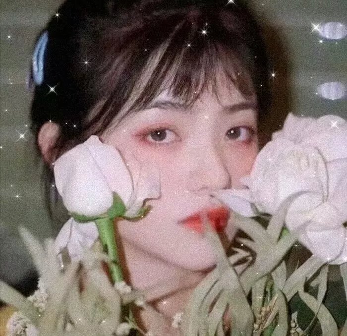 油麻菜籽